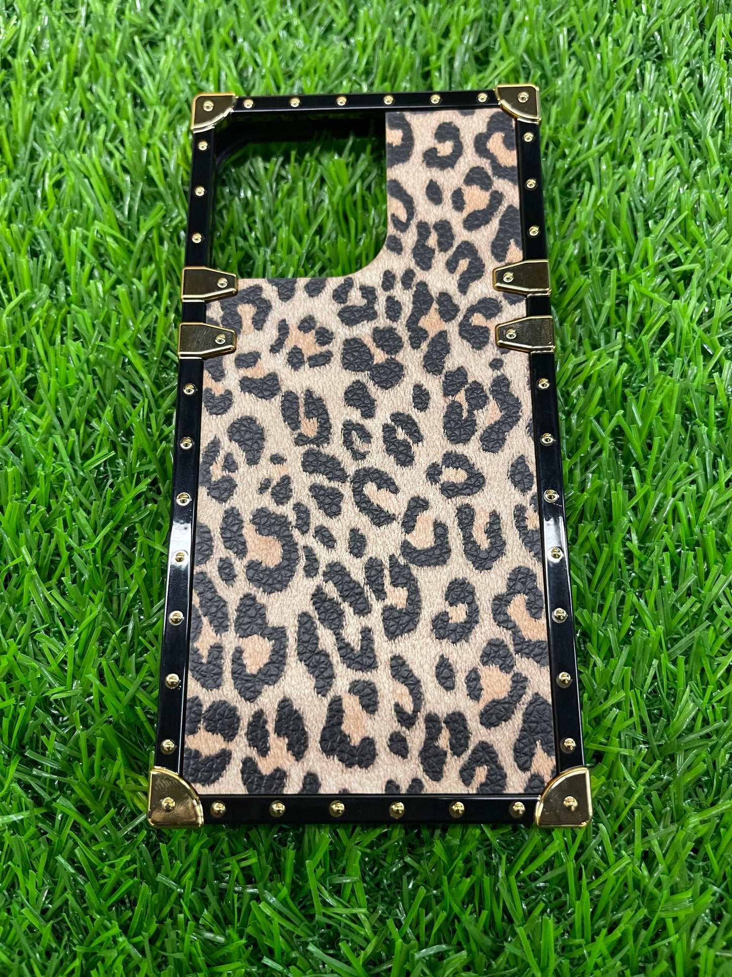 iPhone 13 Pro (6.1) Decorative Hybrid Case