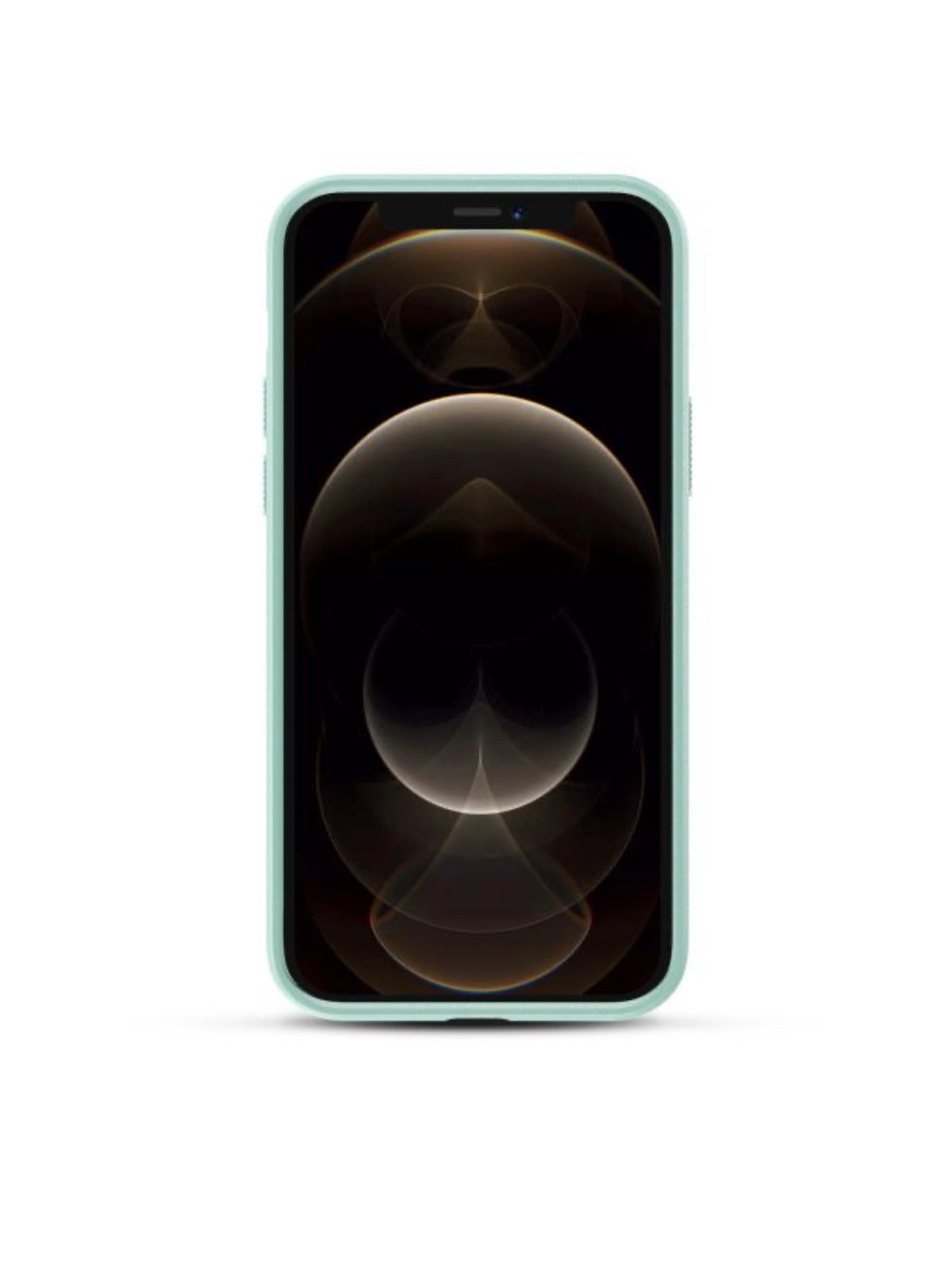 iPhone 12 Pro Max Premium Card Holder Case